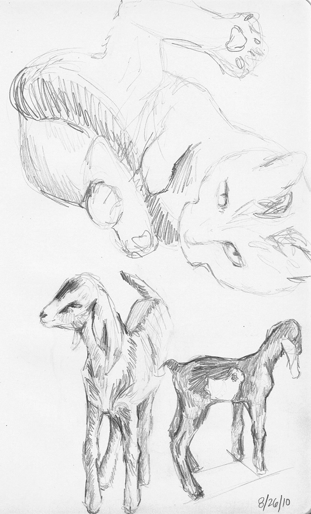 drawing-catgoats2010