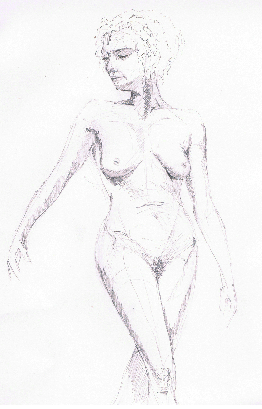 drawing-model2013